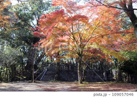 書写山円教寺 榊原家廟所付近風景(兵庫県 姫路市) 書写山円教寺 榊原家廟所付近風景(兵庫県 姫路市) 109057046