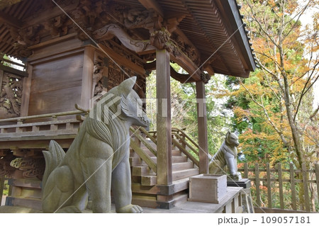秋の大口真神神社　東京 109057181