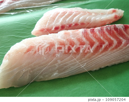 真鯛の刺身を熟成させる 109057204