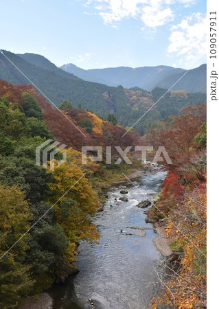 紅葉する御岳渓谷 東京 紅葉する御岳渓谷 東京 109057911