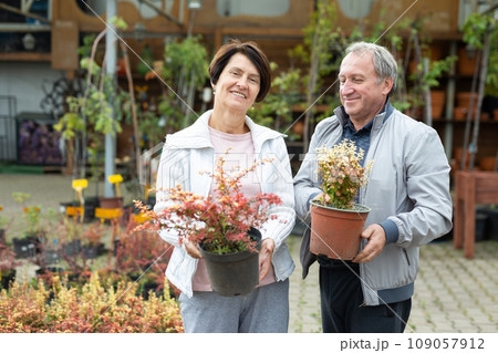 Elderly man and a woman buy a young barberry plant in a flower shop Elderly man and a woman buy a young barberry plant in a flower shop 109057912