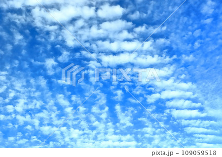 秋の空と雲（まだら雲、高積雲、層積雲） 109059518