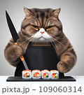 A fat cat in an apron with a knife in his paws prepares sushi 109060314