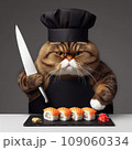 A fat cat in an apron with a knife in his paws prepares sushi 109060334