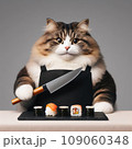 A fat cat in an apron with a knife in his paws prepares sushi 109060348