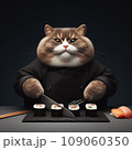 A fat cat in an apron with a knife in his paws prepares sushi 109060350