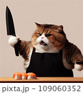 A fat cat in an apron with a knife in his paws prepares sushi 109060352
