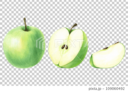 A set of green apple and slices. Hand drawn botanical watercolor illustration isolated on white background. For clip art, cards, menu 109060492