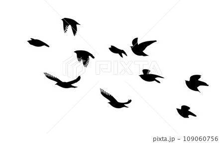 Flying birds silhouette flock. hand drawing. Not AI, Vector illustration Flying birds silhouette flock. hand drawing. Not AI, Vector illustration 109060756