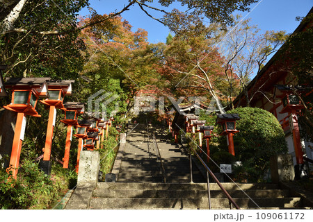 鞍馬寺　秋 109061172
