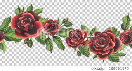 Red-black rose flowers with green leaves and buds, chic, bright, beautiful. Hand drawn watercolor illustration. Seamless border a white background, for decoration and design Red-black rose flowers with green leaves and buds, chic, bright, beautiful. Hand drawn watercolor illustration. Seamless border a white background, for decoration and design 109061179