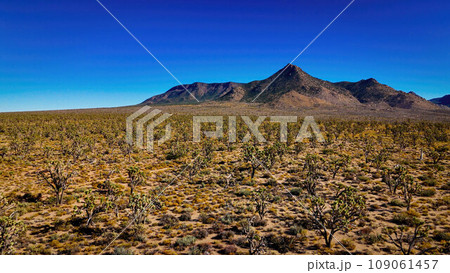 Desert of Arizona from above with its dry landscape - aerial view Desert of Arizona from above with its dry landscape - aerial view 109061457