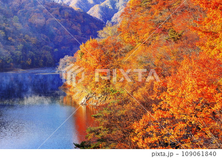 川俣湖の秋 川俣湖の秋 109061840