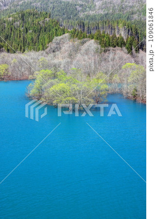 早春の宝仙湖 早春の宝仙湖 109061846