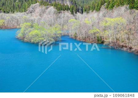 早春の宝仙湖 109061848