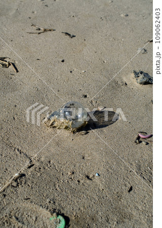流れ着いた海洋ゴミ 流れ着いた海洋ゴミ 109062403