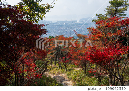 日本の兵庫県赤穂市の雄鷹台山のとても美しい秋の風景 日本の兵庫県赤穂市の雄鷹台山のとても美しい秋の風景 109062550