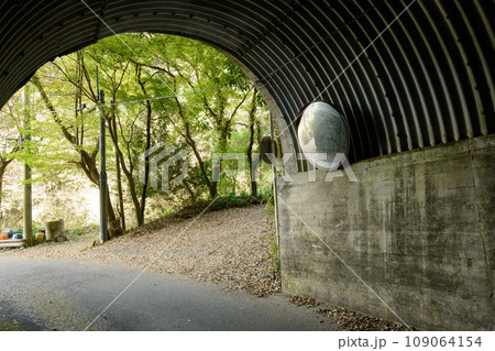 向山トンネル　養老渓谷 109064154