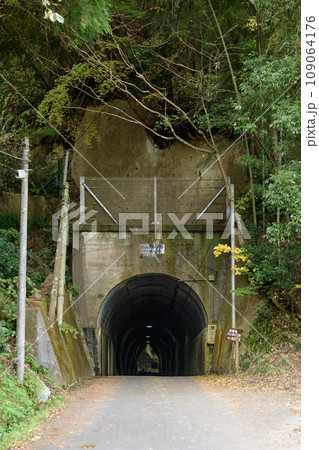 向山トンネル　養老渓谷 109064176
