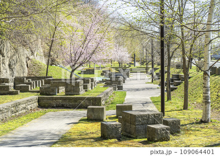 藻南公園の桜 札幌市 藻南公園の桜 札幌市 109064401