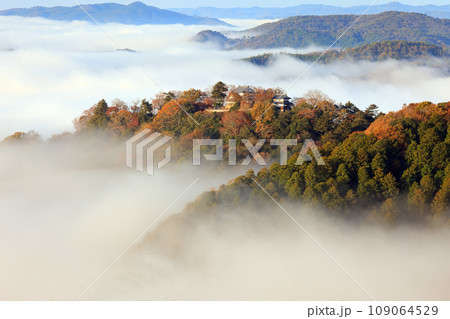 天空の山城7211- 109064529