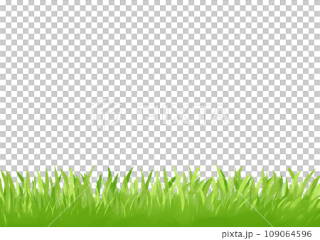 芝生の手描きイラスト 109064596
