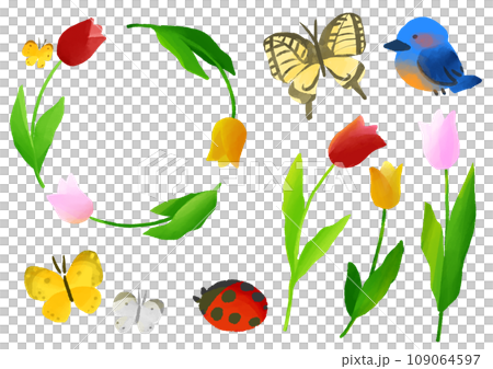チューリップと虫と鳥の手描きイラスト チューリップと虫と鳥の手描きイラスト 109064597