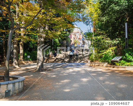 吉祥寺　秋の井の頭公園 109064687