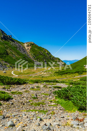 長野県の乗鞍岳の観光登山　鶴ヶ池園地 109064781