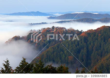 天空の山城6955 109064865