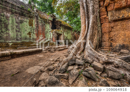 High dynamic range (hdr) image of ancient ruins with trees, Ta Prohm temple, Angkor, Cambodia 109064918