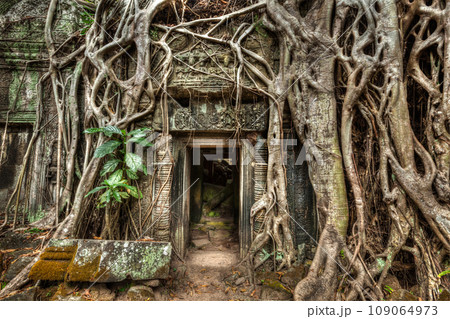 Travel Cambodia concept background - ancient stone door and tree roots, Ta Prohm temple ruins, Angkor, Cambodia 109064973