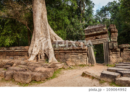 Travel Cambodia concept background - ancient ruins with tree roots, Ta Prohm temple, Angkor, Cambodia Travel Cambodia concept background - ancient ruins with tree roots, Ta Prohm temple, Angkor, Cambodia 109064992