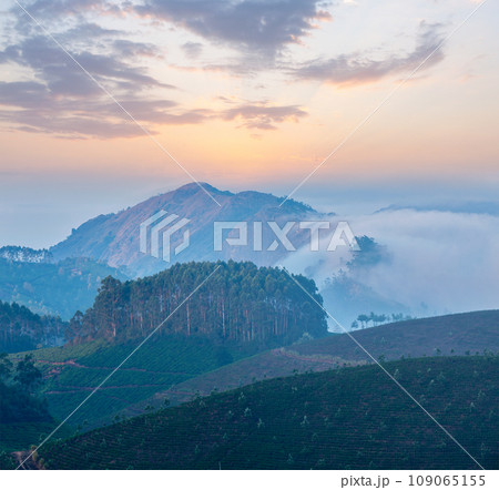 Kerala India travel background - sunrise and tea plantations in Munnar, Kerala, India Kerala India travel background - sunrise and tea plantations in Munnar, Kerala, India 109065155
