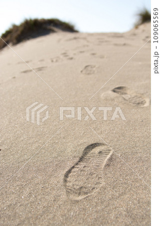 砂浜に残る足跡 109065569