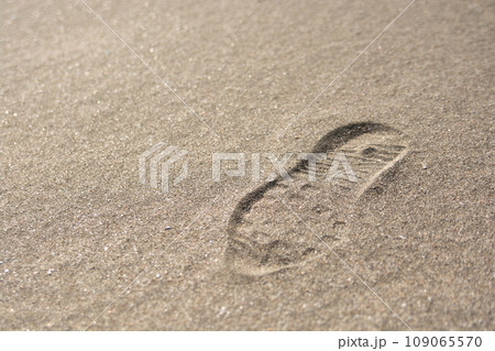 砂浜に残る足跡 109065570