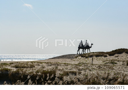 ラクダに乗った人のシルエット 109065571