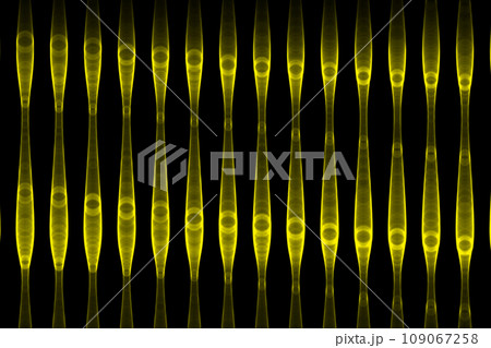 縦 渦 筒 カラー CG 背景 壁紙 縦 渦 筒 カラー CG 背景 壁紙 109067258