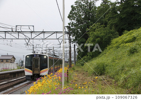 初夏の大沢駅に到着する上越線E129系電車（新潟県南魚沼市） 109067326