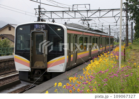 初夏の大沢駅に到着する上越線E129系電車（新潟県南魚沼市） 109067327