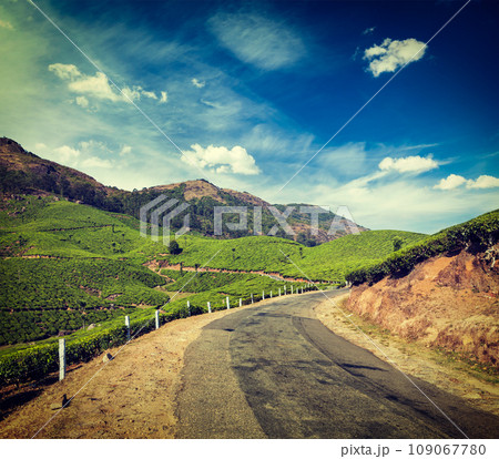 Vintage retro hipster style travel image of Kerala India travel background - road in green tea plantations in mountains in Munnar, Kerala, India Vintage retro hipster style travel image of Kerala India travel background - road in green tea plantations in mountains in Munnar, Kerala, India 109067780