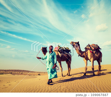 Vintage retro hipster style travel image of Rajasthan travel background - Indian cameleer (camel driver) with camels in dunes of Thar desert. Jaisalmer, Rajasthan, India 109067887