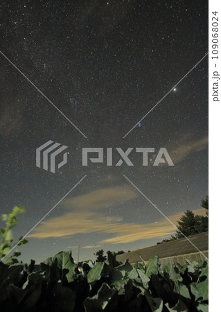 野辺山の夜景と秋のきれいな星空 109068024