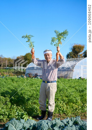 人参を手に持つ農家の男性 人参を手に持つ農家の男性 109068402