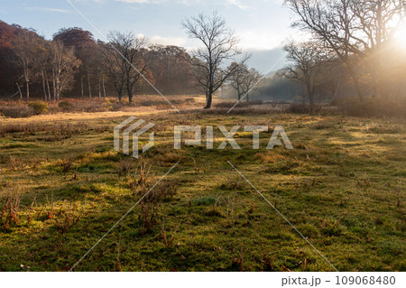 高原の日の出 109068480