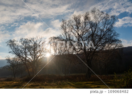カヤの平の太陽 109068482