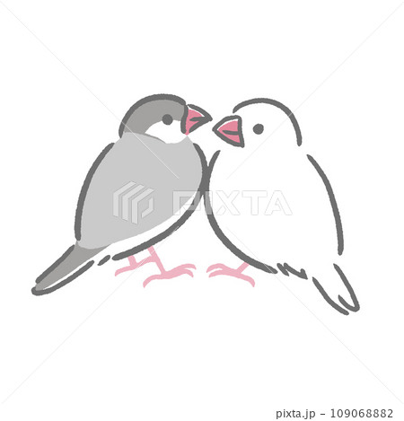 向かい合う文鳥 向かい合う文鳥 109068882