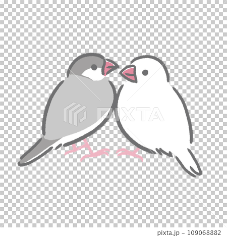 向かい合う文鳥 向かい合う文鳥 109068882