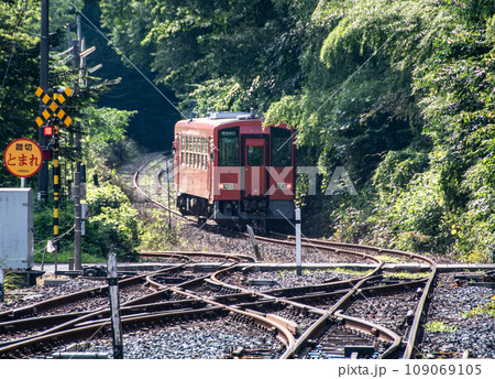 スイッチバックを行くディーゼルカー 109069105