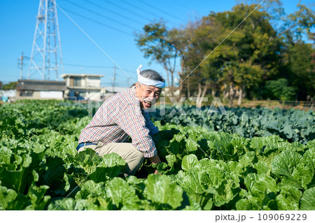 畑で農作業する男性 109069229